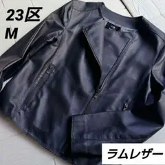 Item thumbnail for item b3d1dab4-565d-4a9e-872e-c5266f524201