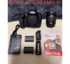 Item thumbnail for item 97ec9ac1-9dc1-496f-9c46-e90407c18c70