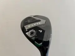 Item thumbnail for item 987d5461-447c-4f93-a367-485dd977be78