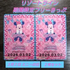 リゾートラインフリーきっぷ ミニーの日購入 お得な２枚セット