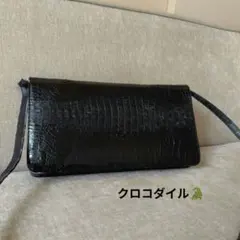 クロコダイル革ショルダーバッグ　genuine crocodile skinのサムネイル