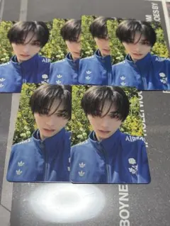 The Action（Frame ver.）テサン ボネクド ボイネク トレカ