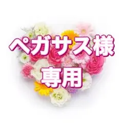 ペガサス様 リクエスト 4点 まとめ商品