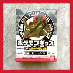 ポケモンキッズ 黒いレックウザ ロイと旅の仲間たち編