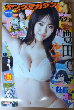 ヤングマガジン 2026年 No.27 豊田ルナ 表紙のサムネイル