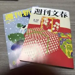 Item thumbnail for item 2a8fa1b0-f1c5-4d64-b620-004c6021e29b