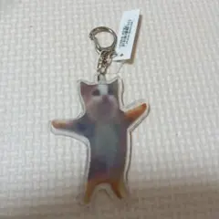 ◇猫ミーム　人気のハッピー猫　ハッピーキャット　キーホルダー2012