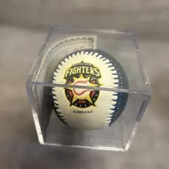 大谷翔平　サインボール　球団ロゴ　日本ハムファイターズ 大谷翔平 サインボール 球団ロゴ 日本ハムファイターズ