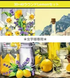女宇様 リクエスト 2点 まとめ商品