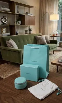 【未使用】TIFFANY & Co. ティファニー レザージュエリーケースのサムネイル