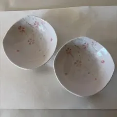 片岡鶴太郎　オリジナル　美濃焼　小皿　桜柄　日本製　２枚セット