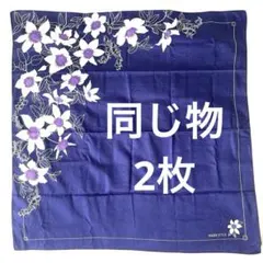 Item thumbnail for item fafa6b3c-f6d3-4dd7-a769-c3a4ea85a0cb