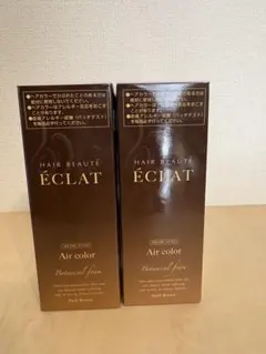 ÉCLAT Botanical aircolor foam ダークブラウン ÉCLAT Botanical air color foam ダークブラウン - メルカリ