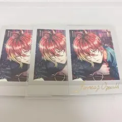 あくねこ フェネス ぱしゃこれ