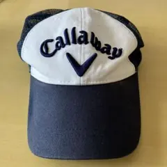 Item thumbnail for item d9526629-64ce-496b-a186-d45f817a33d7