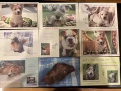 犬のポストカードセット全9種