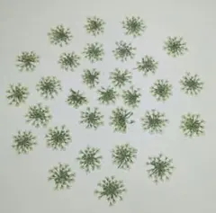 Item thumbnail for item 50fdece7-89a0-4b1f-a2f9-ed4277086bb3