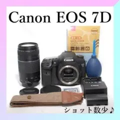 Canon EOS 7D ダブルレンズ 超望遠 高速連写 バッグ付 高画質セット