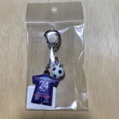 ヴァンフォーレ甲府 24.佐藤恵介 ユニフォームラバーキーホルダー　新品