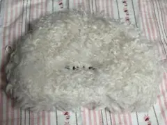 Item thumbnail for item 163d7bca-bccf-451d-a9f9-425618bbd0bc