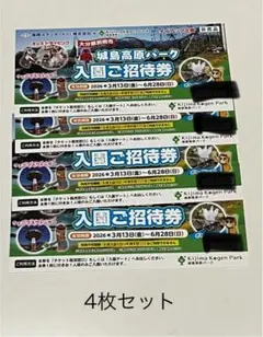 JRA ゼッケン型コースター ウオッカ 3 - メルカリ