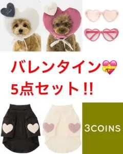【新品未使用】バレンタイン 5点セット