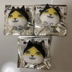 ハイキュー!! トレーディング動物マスコットミニビーズクッション　角名倫太郎