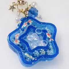 星型 シェイカーチャーム 金魚のサムネイル
