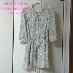 プロポーションボディドレッシング　2　花柄　ワンピース　ブルー✕ピンク✕グリーン