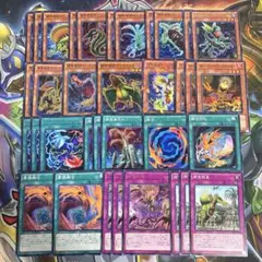 遊戯王 捕食植物 プレデタープランツ 新規デッキパーツセット 各3枚