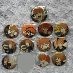 【バラ可】ハイキュー‼︎ 日向 翔陽 セット