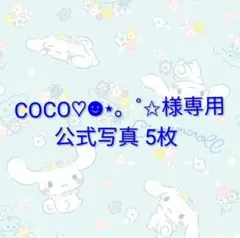 COCO♡☻⋆。˚✩様専用　公式写真 5枚