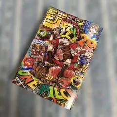 週刊少年ジャンプ 29周年記念号 ワンピースカード付録付 - メルカリ