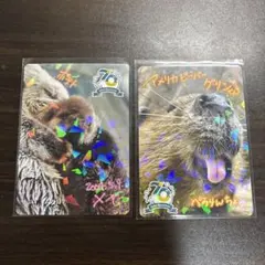 【最終値下げ】諸事情により本日中に購入されない場合は出品取り下げます