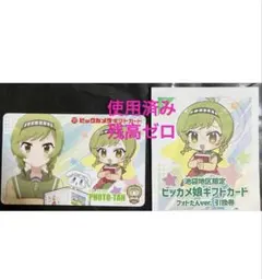 使用済み 2種セット ビックカメラ ギフトカード ビッカメ娘 ナイセン