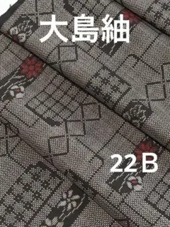 2026年最新】大島紬 セットアップの人気アイテム - メルカリ