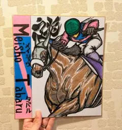 宝塚記念【逃メイショウタバル】リアルバージョン♪競走馬色紙イラスト♪競馬絵画^^