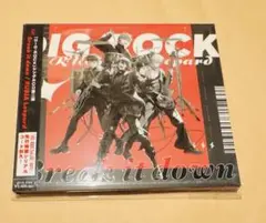 DIG-ROCK/Break it down/RUBIA Leopard