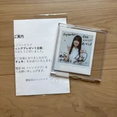 2026年最新】中嶋優月 直筆の人気アイテム - メルカリ