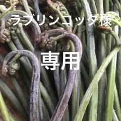 ラブリンコッタ様　専用　　山菜　野菜