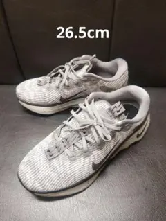 Item thumbnail for item e437e2ed-08b8-407c-9cfb-9a31df146dd7