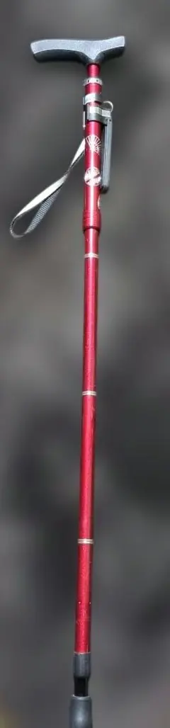 Item thumbnail for item b6f90f16-bd98-43a7-adaf-928a9a1dfc71