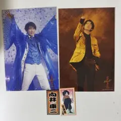 向井康二 滝沢歌舞伎 千社札 ステージフォト まとめ売り