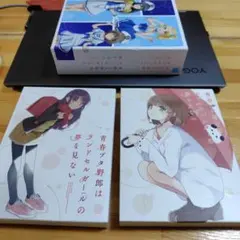 青春ブタ野郎はランドセルガールの夢を見ない DVD