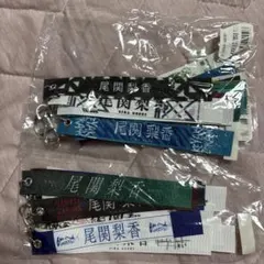 尾関梨香　ボンフィンキーホルダー