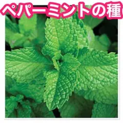 jelly Paung1993様 リクエスト 4点 まとめ商品