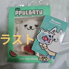 【新品】TXT スビン ヨンモン プルバトゥ スイカ プラッシュキーリング 日本