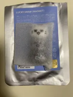 2025年最新】seventeen ラキドロ マグネットの人気アイテム - メルカリ