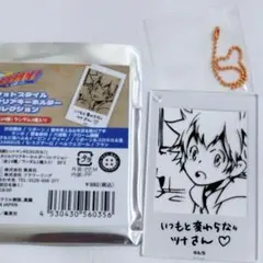 ジャンショ リボーン REBORN フォトスタイルクリアキーホルダー 綱吉