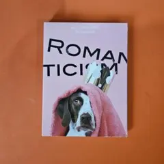 2025年最新】ロマンチシズム ミセス ドッグの人気アイテム - メルカリ